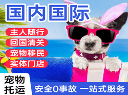 西宁空运代理国际宠物托运 【国